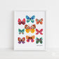 Butterfly Collection Print